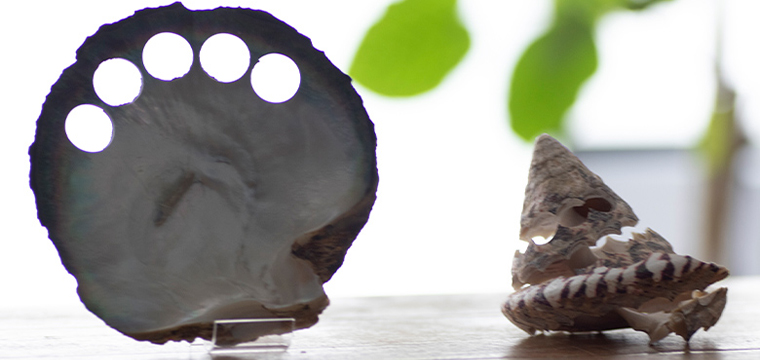 メイドインジャパンのボタンを世界へ